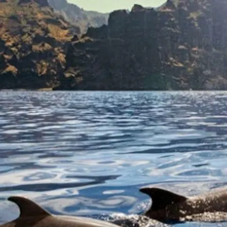 Bright Spacious Apartment, 2 Min Walk From